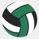 Search for green and white volleyball Spike