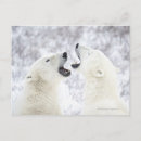 Search for confrontational postcards Friendship