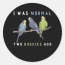 Search for budgerigar stickers Bird