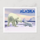 Search for arctic tundra postcards Bears