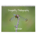 Search for dragonfly photography Nature