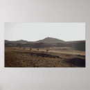 Search for caravan posters Desert