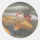 Search for koi fish pond stickers Zen