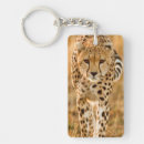 Search for dangerous animals key rings Colour image