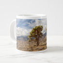 Search for joshua mugs Photography