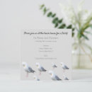 Search for preening Wildlife