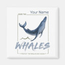 Search for cetacean magnets Ocean