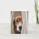 Search for golden retriever note cards Pet