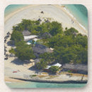 Search for fiji coasters David
