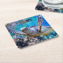 Search for sea turtle coasters Reef