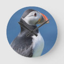 Search for auk art Animal