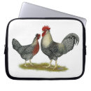 Search for bantam electronics Chicken