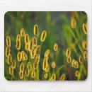 Search for shining mousepads Nature