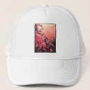 Search for blossoming hats Cherry blossom