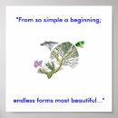 Search for evolution chart posters Life