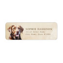 Search for chocolate lab return address labels Dog