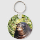 Search for sea lion key rings Seals