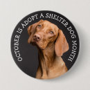 Search for adopt a dog badges Shelter