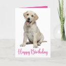 Search for lab dog cards Cute puppy