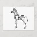 Search for cute baby zebra postcards Animals