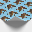 Search for duck wrapping paper Swimming