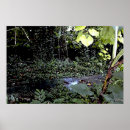 Search for stream posters Landscape