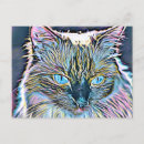 Search for ragdoll postcards Pet