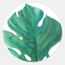 Search for green palm leaf stickers Summer