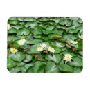 Search for white lily flower rectangular magnets Water lilies