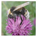 Search for bumblebee tiles Flowers