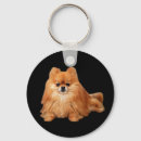 Search for pomeranian dog key rings Pom pom
