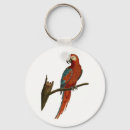 Search for red parrot key rings Nature
