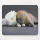 Search for dwarfs mousepads Horizontal