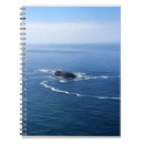 Search for otter notebooks Ocean