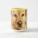 Search for pet this drinkware Animal