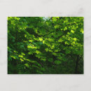 Search for park spring postcards Trees
