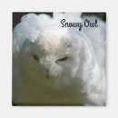 Search for bird lovers magnets Nature