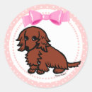 Search for long haired dachshund stickers Dackel