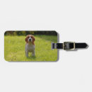Search for double sided luggage tags Keepsake