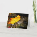 Search for scripture cards Encouragement