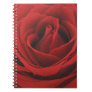 Search for affection notebooks Beauty
