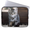 Search for long haired cat electronics Kitten
