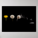 Search for life cycle posters Yellow