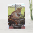 Search for treatment cards Cats