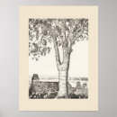 Search for cornwall posters Trees