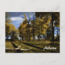 Search for afternoon postcards Autumn