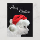 Search for bichon frise christmas cards Puppy