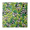 Search for lemur tiles Madagascar