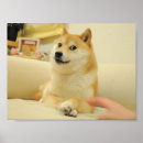 Search for doge posters Internet