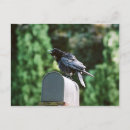 Search for crowing postcards Bird